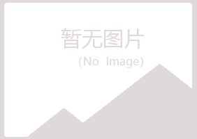 红河雅山化学有限公司